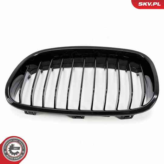 66SKV012 - Radiator Grille 