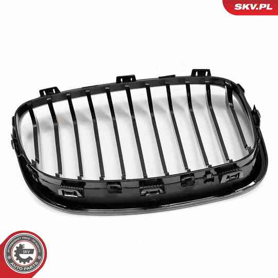 66SKV012 - Radiator Grille 