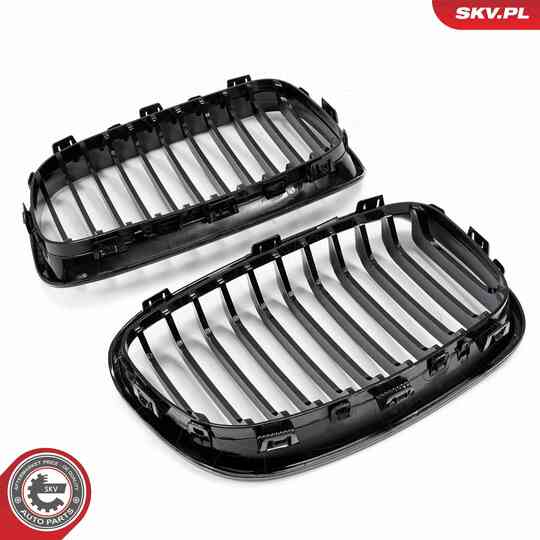 66SKV012 - Radiator Grille 