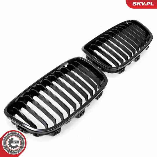 66SKV012 - Radiator Grille 