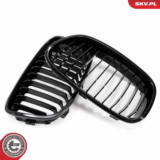 66SKV012 - Radiator Grille 