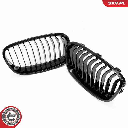 66SKV012 - Radiator Grille 