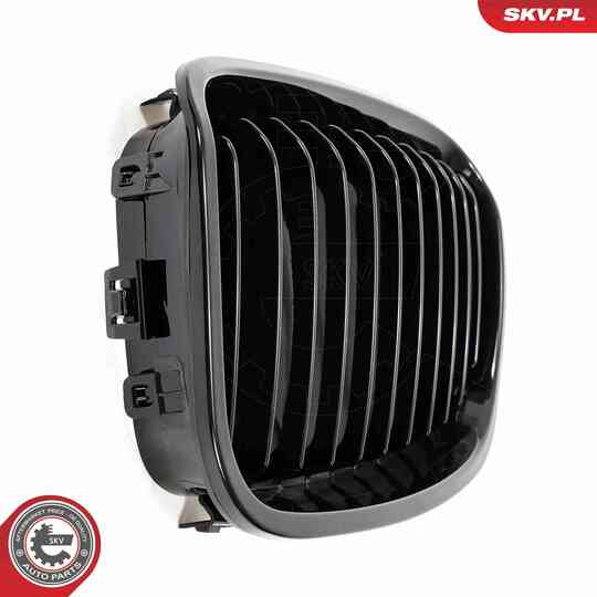 66SKV012 - Radiator Grille 