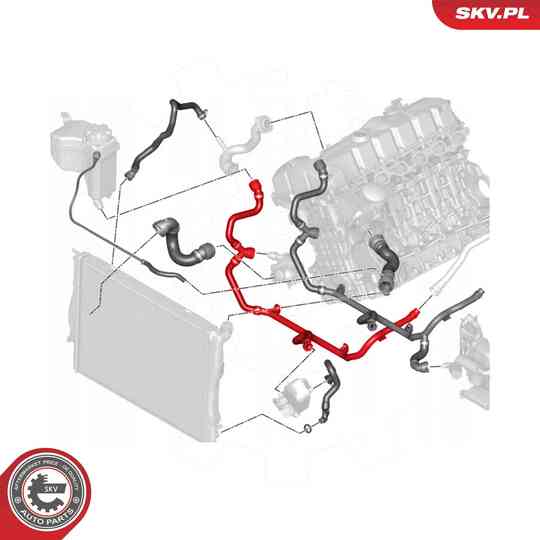 54SKV767 - Radiator Hose 