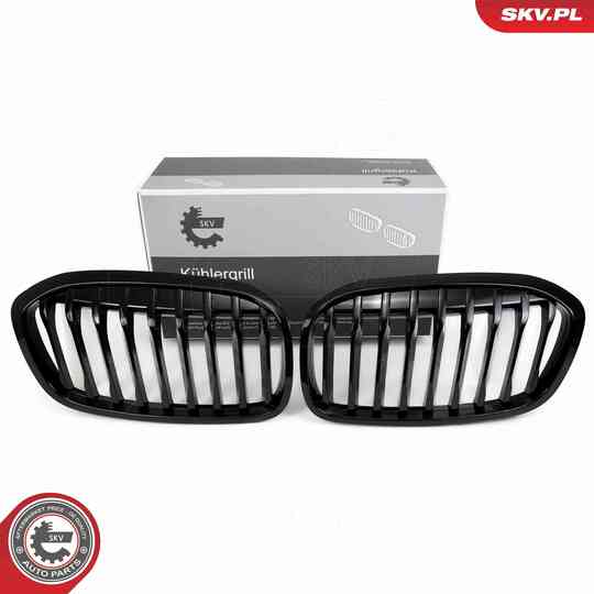 66SKV041 - Radiator Grille 