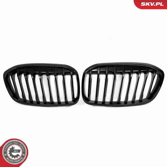 66SKV041 - Radiator Grille 