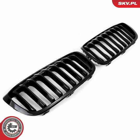 66SKV041 - Radiator Grille 