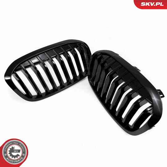 66SKV041 - Radiator Grille 