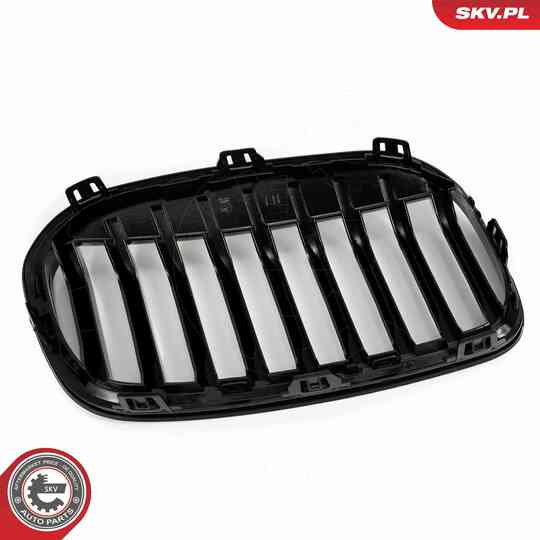 66SKV041 - Radiator Grille 