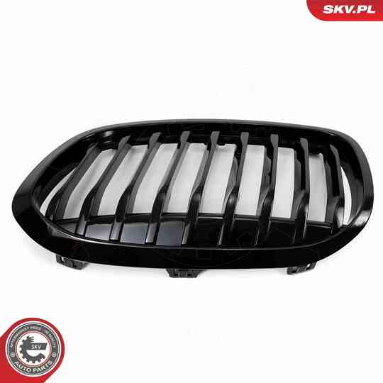 66SKV041 - Radiator Grille 