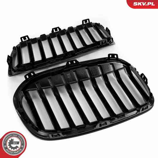 66SKV041 - Radiator Grille 