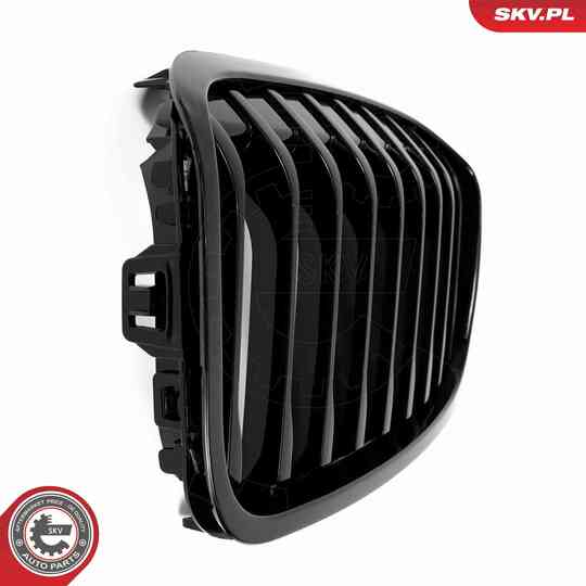 66SKV041 - Radiator Grille 