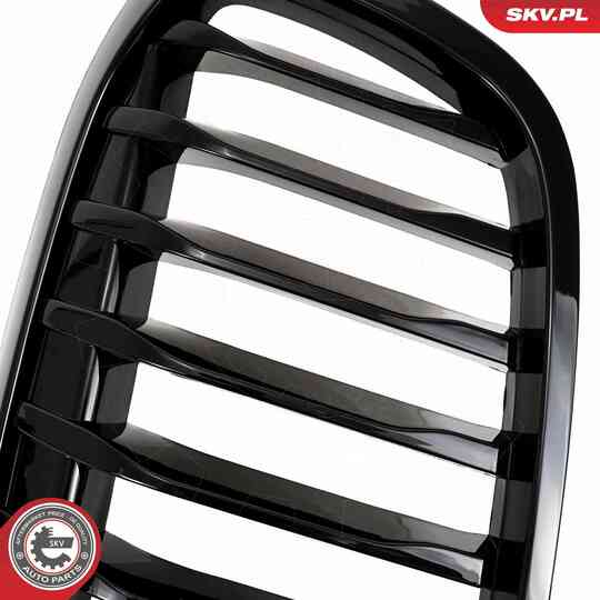 66SKV041 - Radiator Grille 