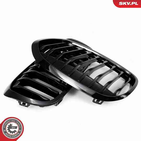 66SKV041 - Radiator Grille 