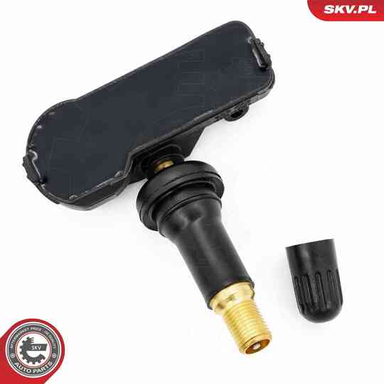 70SKV029 - Wheel Sensor, tyre-pressure monitoring system 