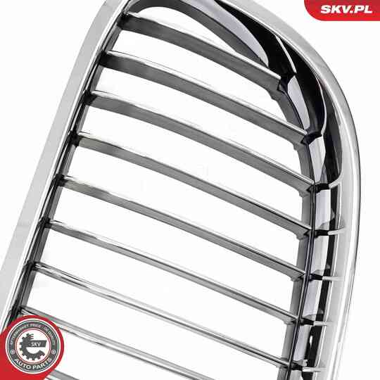 66SKV114 - Radiator Grille 