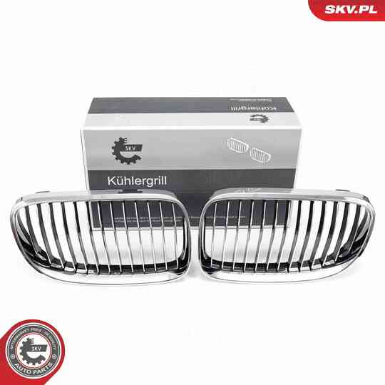 66SKV114 - Radiator Grille 