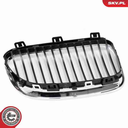 66SKV114 - Radiator Grille 