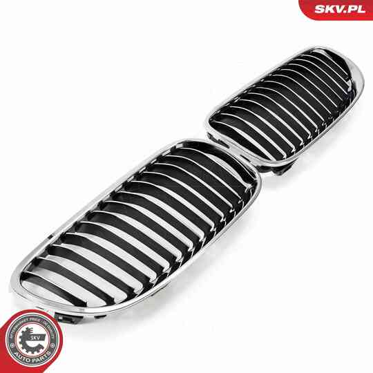 66SKV114 - Radiator Grille 