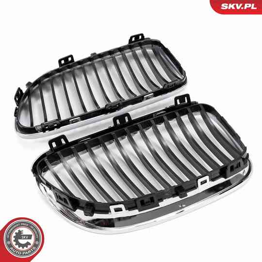 66SKV114 - Radiator Grille 