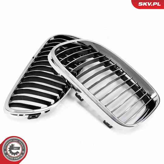 66SKV114 - Radiator Grille 