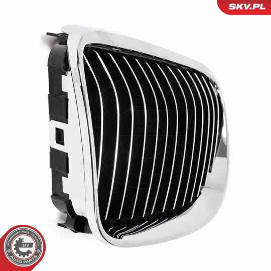 66SKV114 - Radiator Grille 