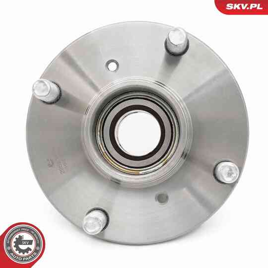 29SKV646 - Wheel Bearing Kit 