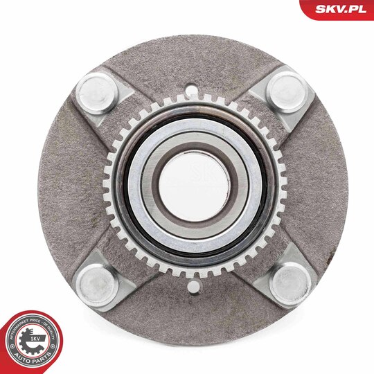 29SKV646 - Wheel Bearing Kit 