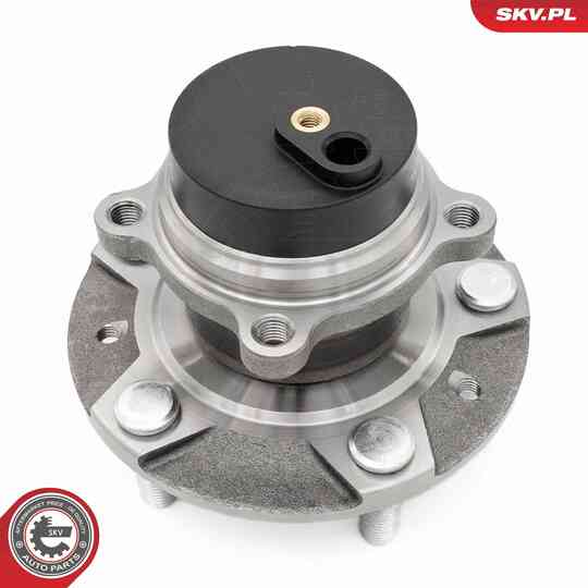 29SKV620 - Wheel Bearing Kit 