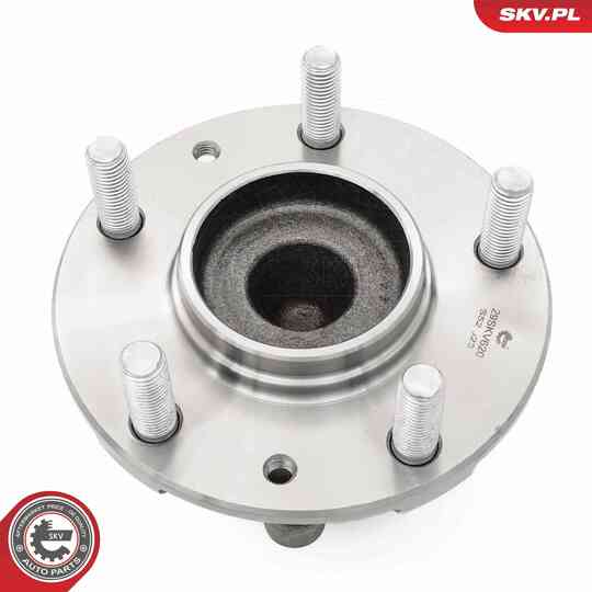 29SKV620 - Wheel Bearing Kit 