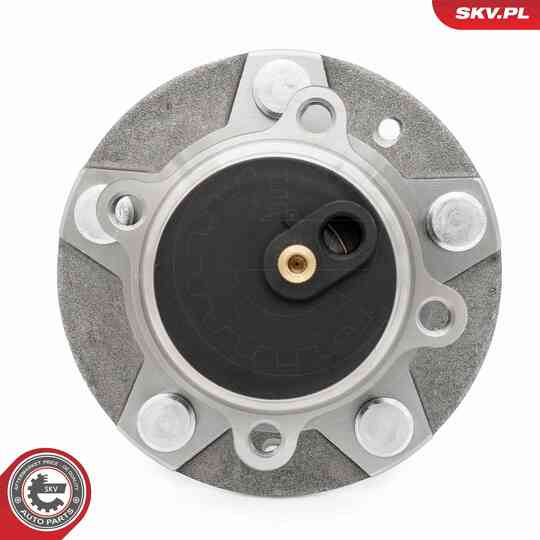 29SKV620 - Wheel Bearing Kit 