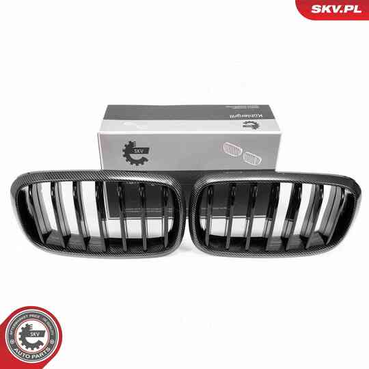 66SKV295 - Radiator Grille 