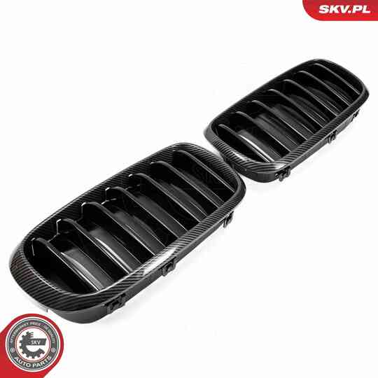 66SKV295 - Radiator Grille 