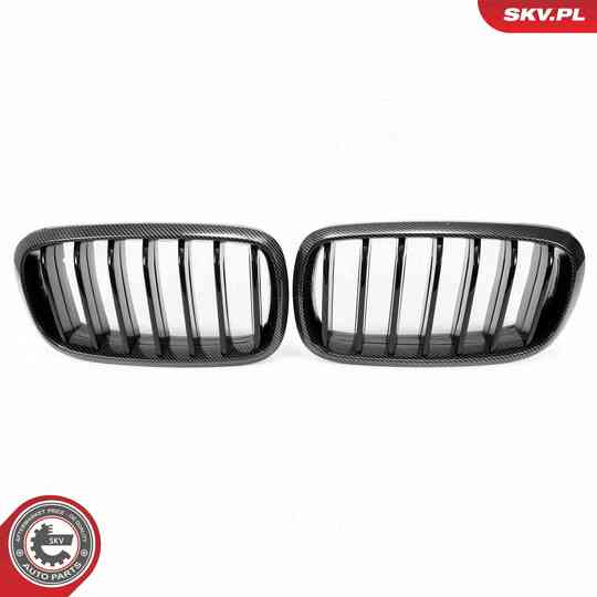 66SKV295 - Radiator Grille 