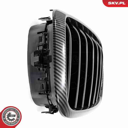 66SKV295 - Radiator Grille 