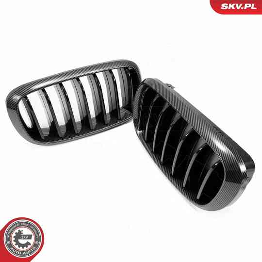 66SKV295 - Radiator Grille 