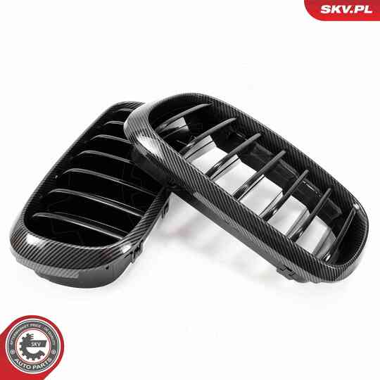 66SKV295 - Radiator Grille 