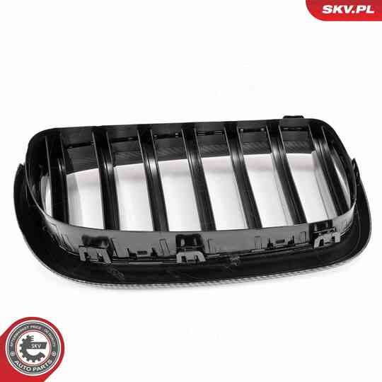 66SKV295 - Radiator Grille 