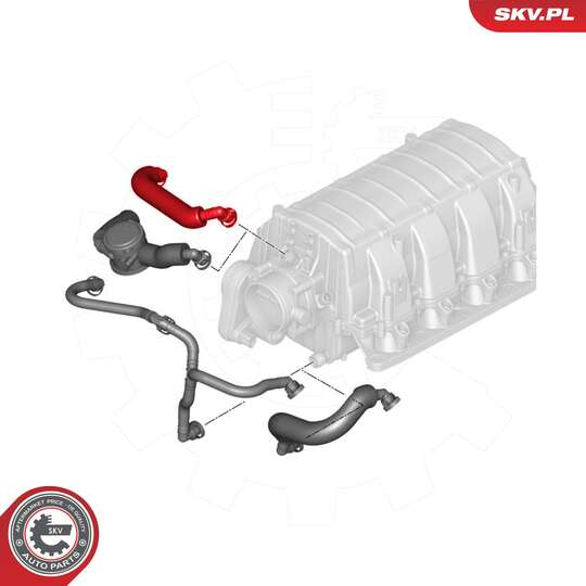 54SKV749 - Hose, crankcase breather 