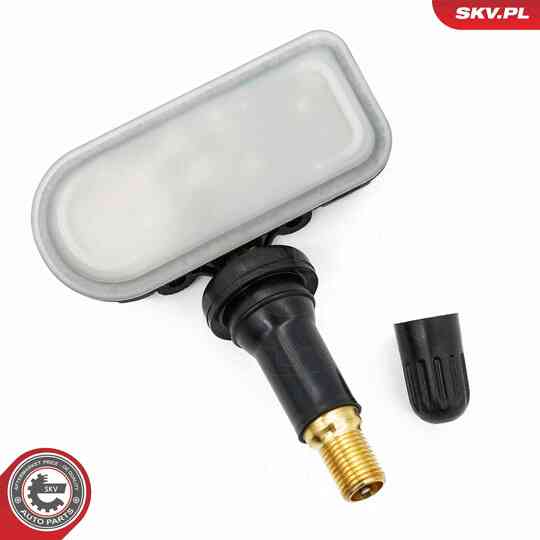 70SKV023 - Wheel Sensor, tyre-pressure monitoring system 