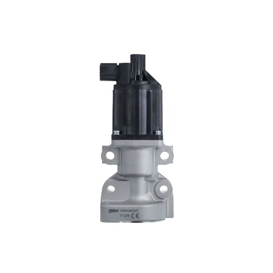 703213 - EGR Valve 