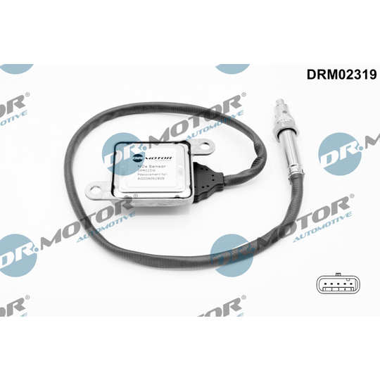 DRM02319 - NOx Sensor, NOx catalytic converter 