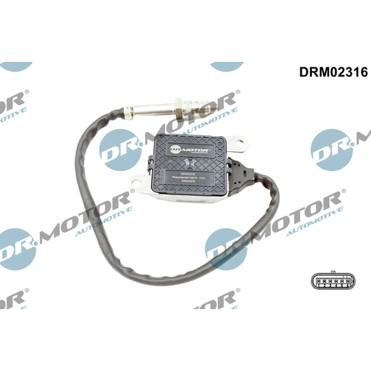 DRM02316 - NOx Sensor, NOx catalytic converter 