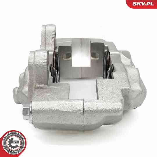 67SKV441 - Brake Caliper 