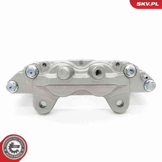 67SKV441 - Brake Caliper 