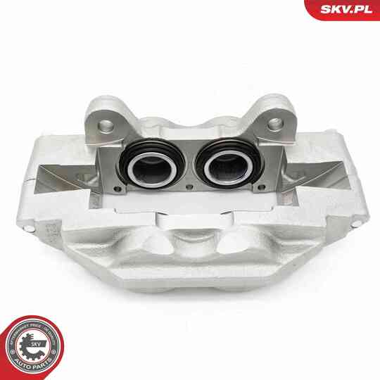 67SKV441 - Brake Caliper 