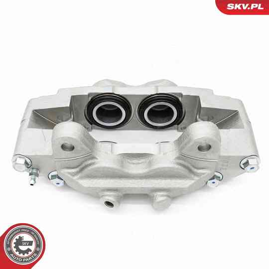 67SKV441 - Brake Caliper 