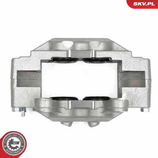 67SKV441 - Brake Caliper 