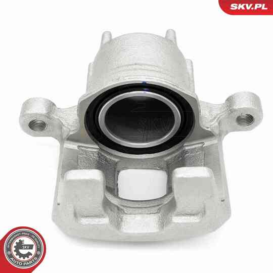 67SKV452 - Brake Caliper 