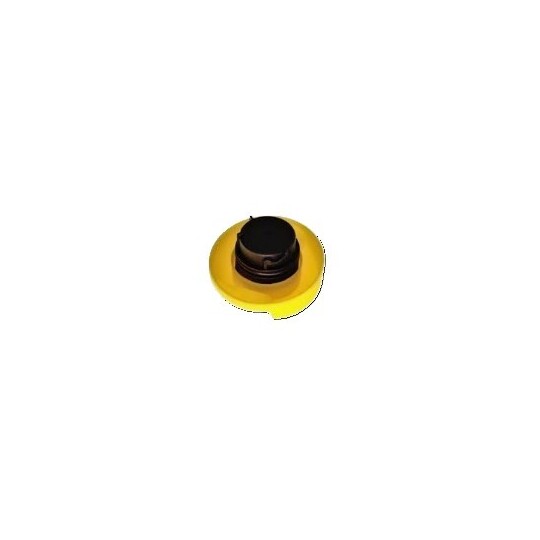 MO258 - Sealing Cap, oil filler neck 